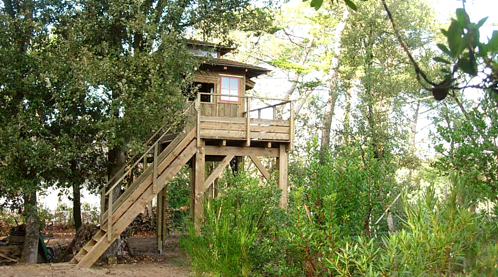 cabane